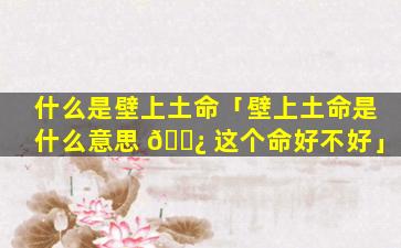 什么是壁上土命「壁上土命是什么意思 🌿 这个命好不好」